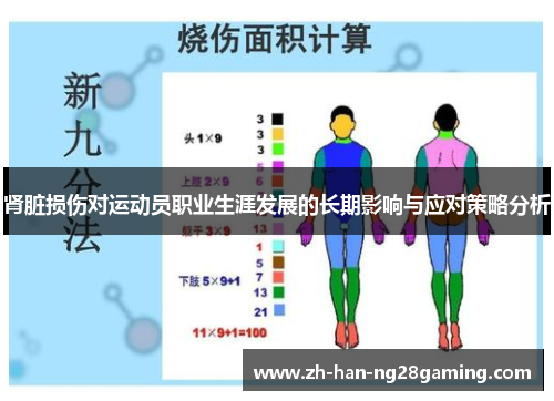 肾脏损伤对运动员职业生涯发展的长期影响与应对策略分析