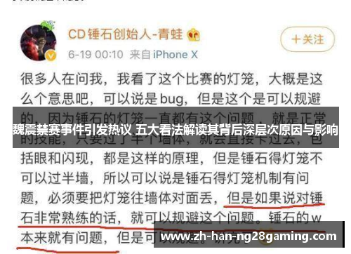 魏震禁赛事件引发热议 五大看法解读其背后深层次原因与影响