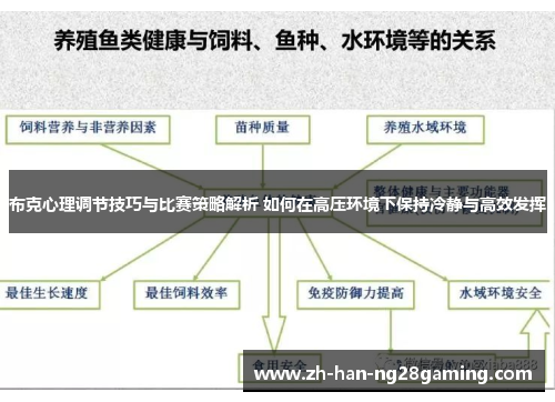 布克心理调节技巧与比赛策略解析 如何在高压环境下保持冷静与高效发挥 布克心理调节技巧与比赛策略解析 如何在高压环境下保持冷静与高效发挥