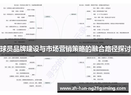 球员品牌建设与市场营销策略的融合路径探讨