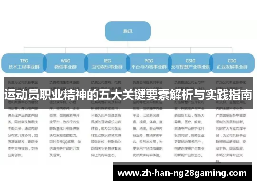 运动员职业精神的五大关键要素解析与实践指南