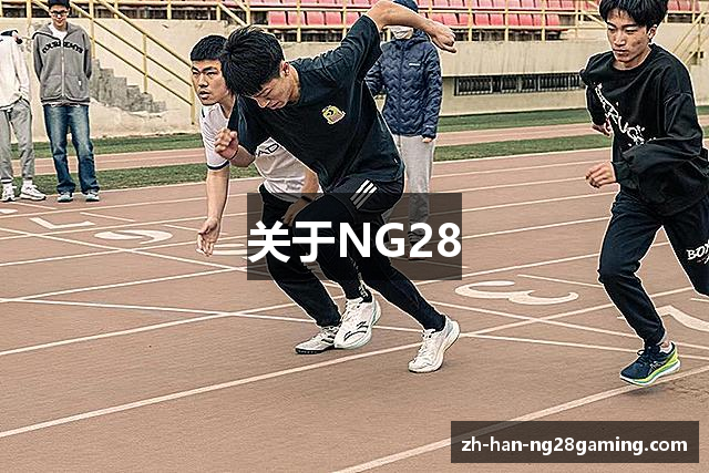 关于NG28